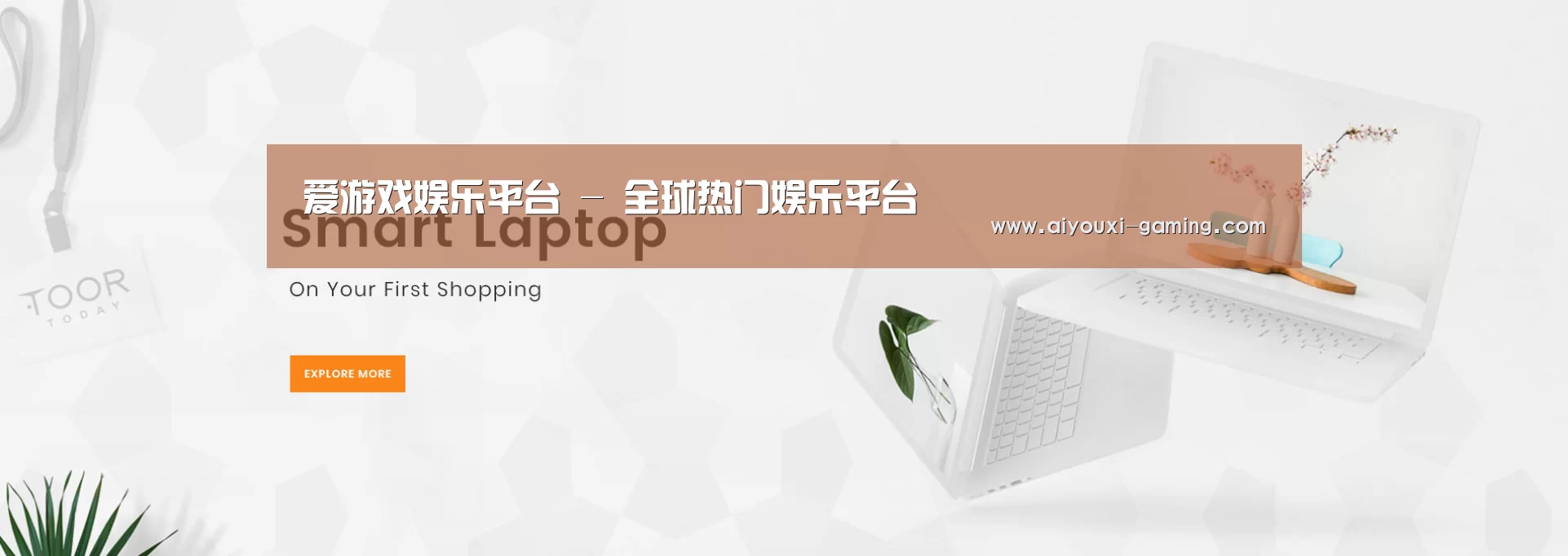 某某网络科技有限公司