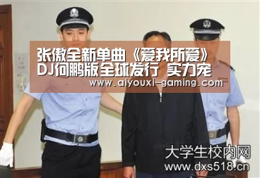 张傲全新单曲《爱我所爱》DJ何鹏版全球发行 实力宠粉燃情一夏‘爱游戏足球竞猜’