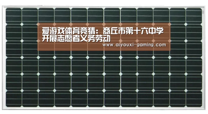 爱游戏体育竞猜：商丘市第十六中学开展志愿者义务劳动
