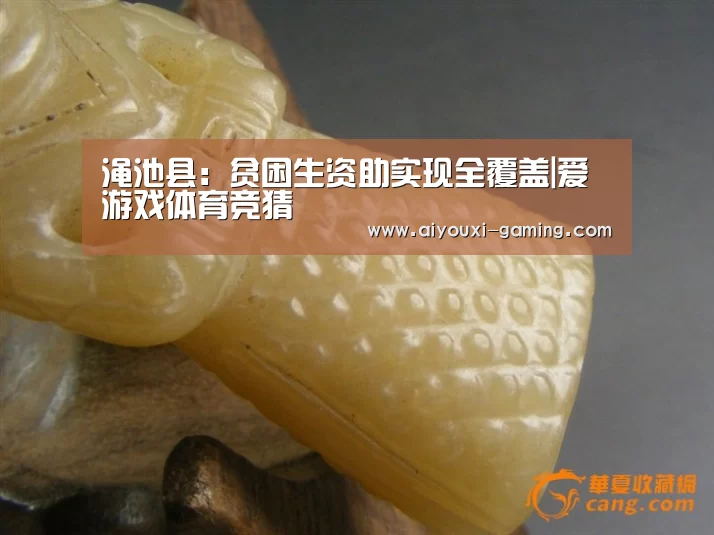 渑池县：贫困生资助实现全覆盖|爱游戏体育竞猜