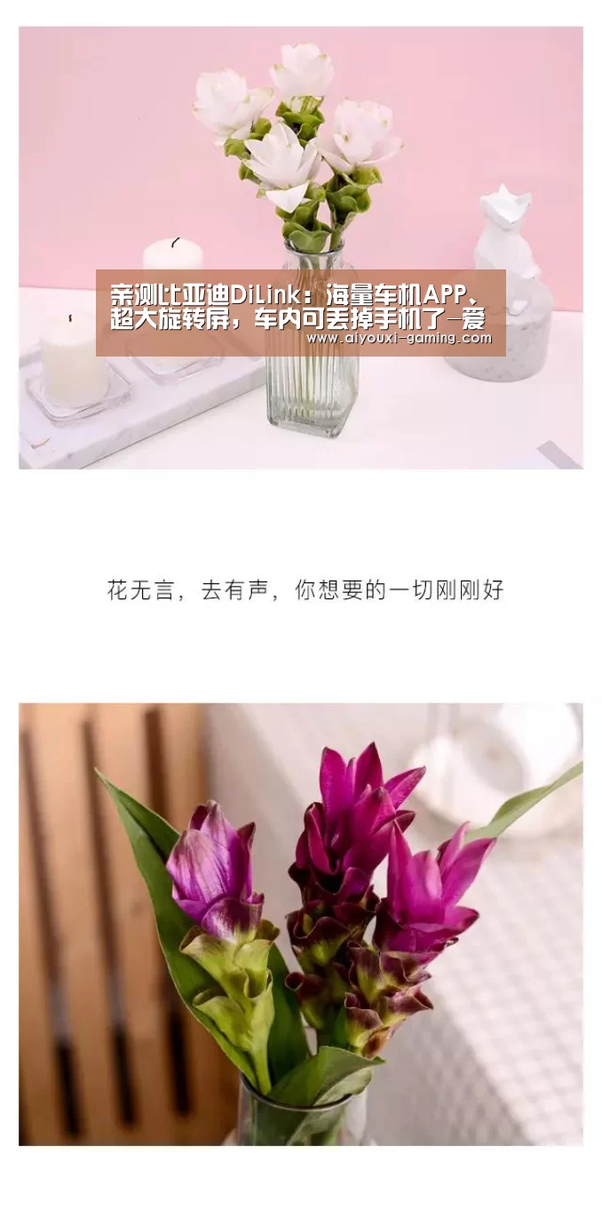 亲测比亚迪DiLink：海量车机APP、超大旋转屏，车内可丢掉手机了-爱游戏体育竞猜